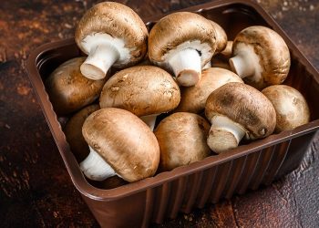 Jamur: Manfaat Kesehatan yang Luar Biasa
