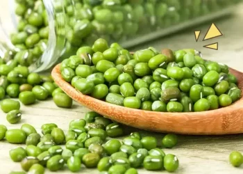 Kacang Hijau Kekayaan Nutrisi dan 10 Manfaat untuk Kesehatan