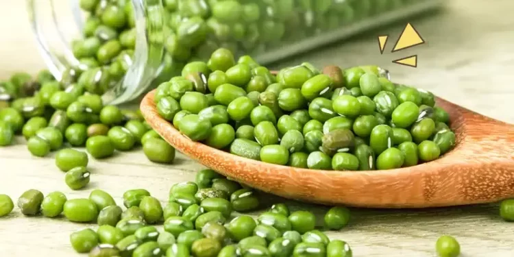 Kacang Hijau Kekayaan Nutrisi dan 10 Manfaat untuk Kesehatan