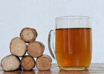 Kayu Bajakah Obat Herbal Berkhasiat dengan Manfaat untuk Kesehatan