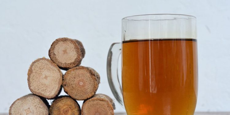 Kayu Bajakah Obat Herbal Berkhasiat dengan Manfaat untuk Kesehatan