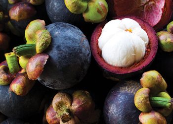 Manfaat Buah Manggis