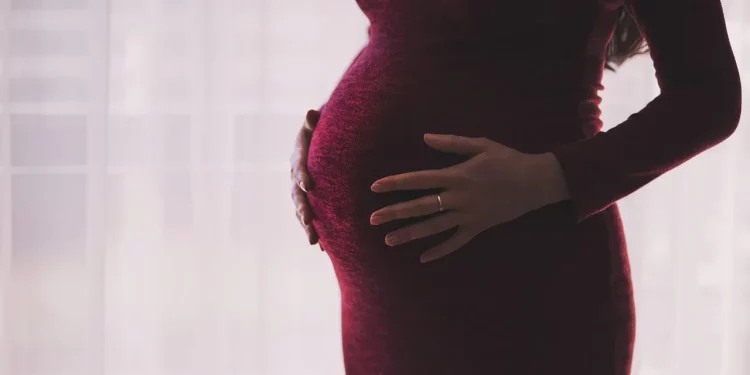Apa Itu Fertilisasi dan Proses Kehamilan