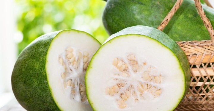 Buah Kundur: Kandungan dan Manfaatnya untuk Kesehatan