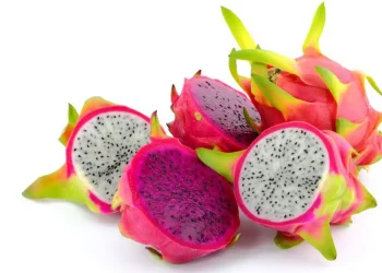 Manfaat Buah Naga dan Keutamaannya