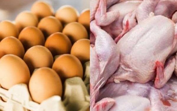 Cara Mendapatkan Bansos Telur dan Daging Ayam: Dukungan Pangan di Masa Kesulitan