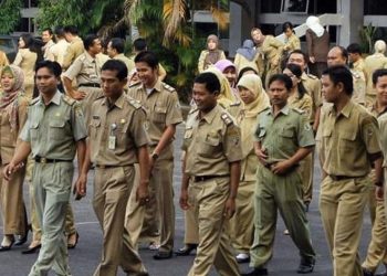 Ini Cara Cek Formasi CPNS 2023 Melalui Link atau SSCASN BKN