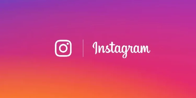 Panduan Lengkap untuk Mendownload Story Instagram