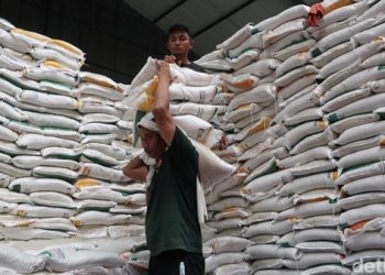 Program Bansos Beras 10 Kg: Bantuan Kemanusiaan Untuk Mengatasi Krisis Pangan di Indonesia