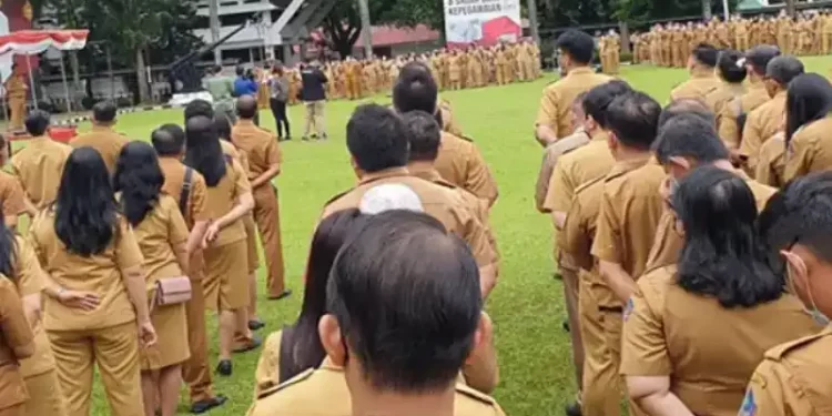 Seleksi CPNS 2023: Peluang Karier di Pengadilan Tinggi dan Pengadilan Tata Usaha Negara