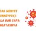 Cacar Monyet (Monkeypox): Gejala dan Cara Mengatasinya