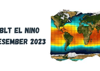 BLT El Nino Desember 2023: Cara Cek Penerima BLT El Nino yang Cair pada Desember 2023