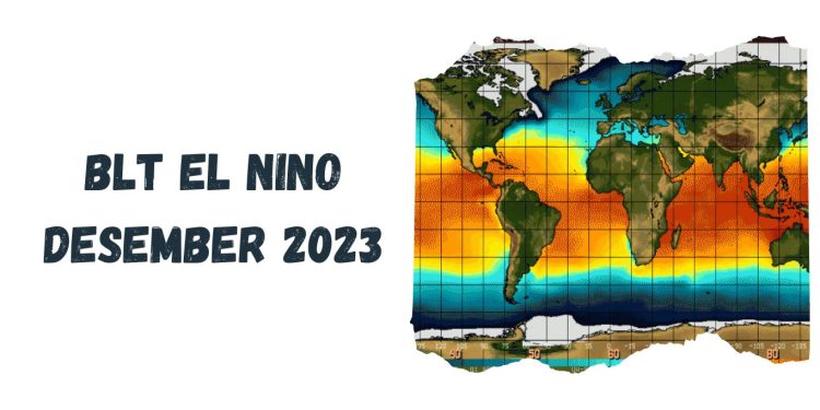 BLT El Nino Desember 2023: Cara Cek Penerima BLT El Nino yang Cair pada Desember 2023