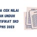 Cara Cek Nilai dan Unduh Sertifikat SKD CPNS 2023