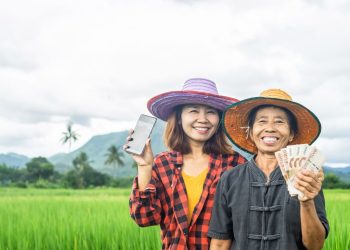 Cara Cek Status BSU bagi Pekerja Rekening Kolektif