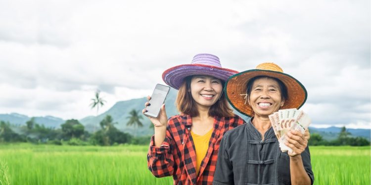 Cara Cek Status BSU bagi Pekerja Rekening Kolektif