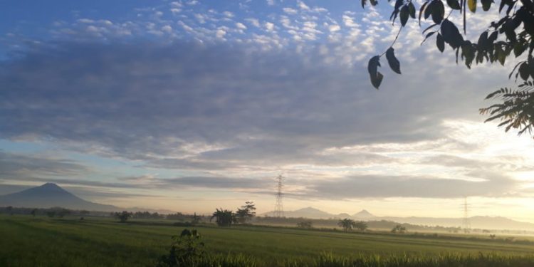 Majas Personifikasi: Memberi Jiwa pada Benda dan Alam