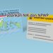 Ayo Padankan NIK dan NPWP Agar Terhindar dari Pajak Lebih Tinggi