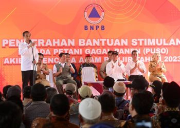 BLT Puso: Cara Klaim BLT Puso Rp8 Juta untuk Petani Terdampak Banjir