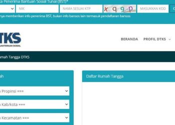 Panduan Mendapatkan Bantuan Sosial DTKS Secara Online dan Offline