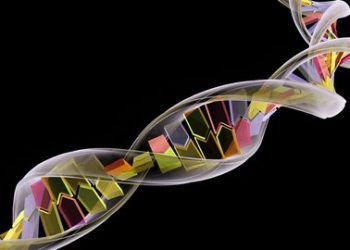 Perbedaan Transkripsi dan Translasi dalam Sintesis Protein