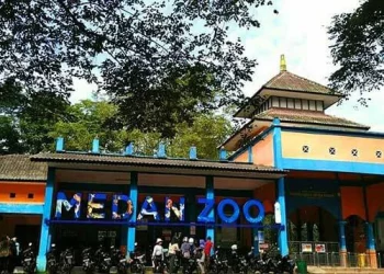 Medan Zoo Ditutup, Pengelola Tinggal Tunggu Surat