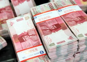 Memeriksa Bantuan Sosial PBI JK 2024: Memastikan Dukungan Kesehatan yang Mudah melalui Ponsel