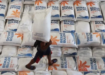 Panduan Mendapatkan Bansos Beras 10 Kilogram dari Pemerintah Tahun 2024