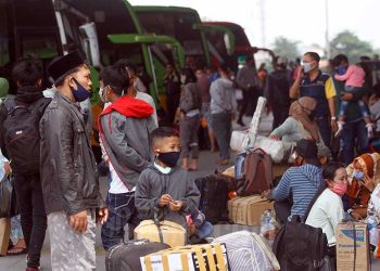 Cara Mendaftar Mudik Gratis 2024 dan Rincian Kota Asal-Tujuan