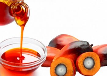 Mengenal Minyak Makan Merah: Kualitas dan Harga Terjangkau untuk Kesehatan Anda