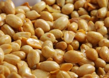 Resep Membuat Kacang Tojin Buat Lebaran!