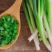 Manfaat Daun Bawang untuk Kesehatan