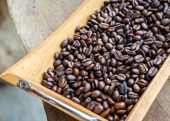 Manfaat Kopi Arabika Yang Jarang Diketahu Orang