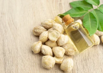 Manfaat Minyak Kemiri Pada Rambut Rontok