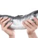 Mengenal Apa Itu DNA Salmon dan Manfaatnya yang Bisa Atasi Penuaan Dini