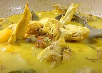 Resep Membuat Opor Ayam Bumbu Kuning Untuk Sajian Menu Lebaran