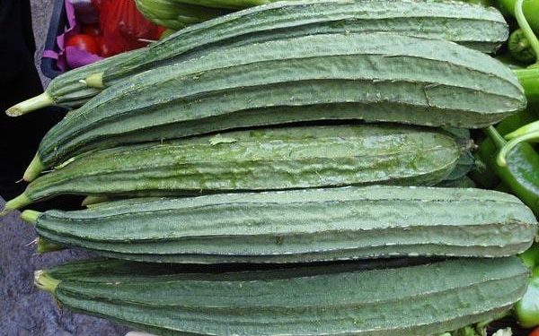 8 Manfaat Sayur Gambas, Bisa Bantu Menurunkan Berat Badan