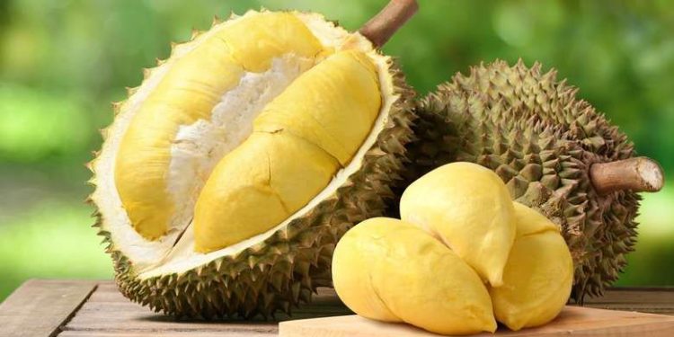 Bahaya Mengonsumsi Durian Berlebihan