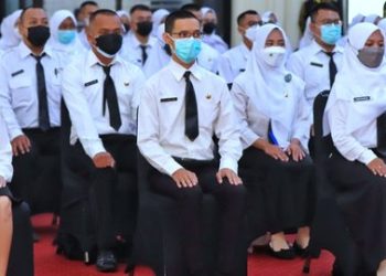 Cara Cek Formasi CPNS 2024