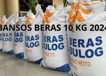 Cara Mendapatkan Bansos Beras 10 KG 2024