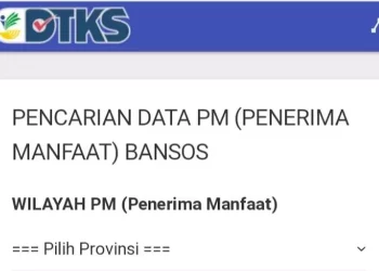 Cek Kategori KPM Yang Tidak Dapat Menerima Bansos