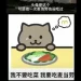 Fat Cat: Kisah Tragis Seorang Gamer yang Meraih Kebangkrutan Cinta