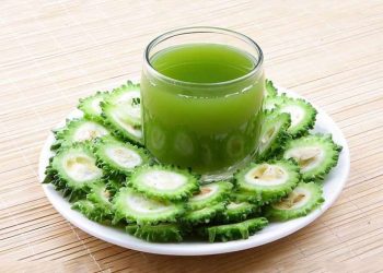 Manfaat Luar Biasa dari Air Rebusan Pare yang Jarang Diketahui