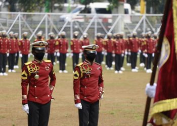 Pendaftaran STIN Dibuka Kembali: Simak Cara Daftar dan Syaratnya