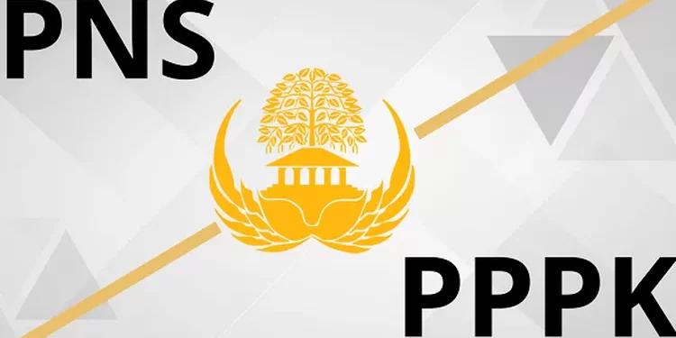 Perbedaan Antara PPPK & PNS