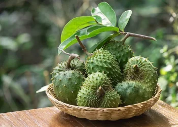 ⁠10 Manfaat Buah Sirsak Untuk Kesehatan