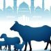 Apa Itu Qurban? Sejarah, Tujuan, Syarat, Jenis Hewan