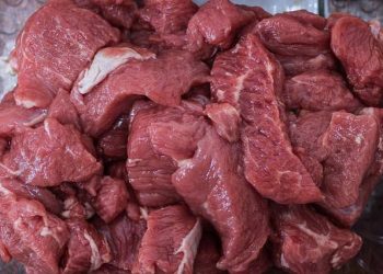 Bahaya Terlalu Banyak Konsumsi Daging Bagi Kesehatan TubuhBahaya Terlalu Banyak Konsumsi Daging Bagi Kesehatan Tubuh
