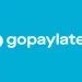 Daftar GoPayLater di Aplikasi Gojek, Simak Dua Skema Penagihannya