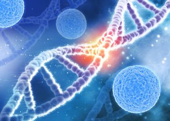 Cara Kerja Enzim pada Tubuh Manusia